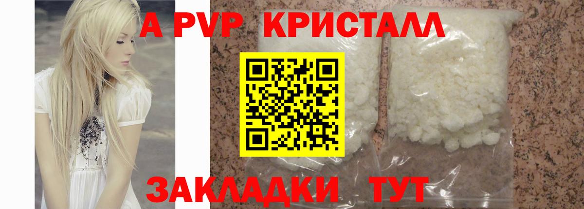 A PVP СК Петропавловск-Камчатский