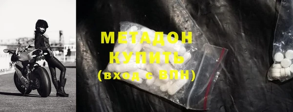 шишки Белокуриха