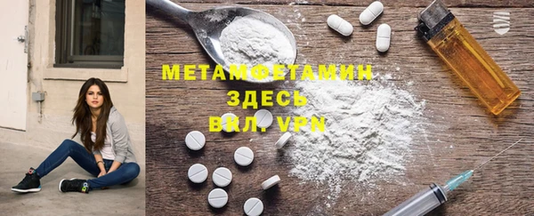шишки Белокуриха