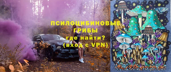 шишки Белокуриха