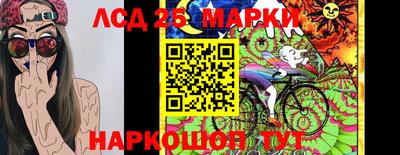 эйфоретик Малгобек