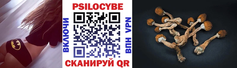 Галлюциногенные грибы GOLDEN TEACHER  Петропавловск-Камчатский 