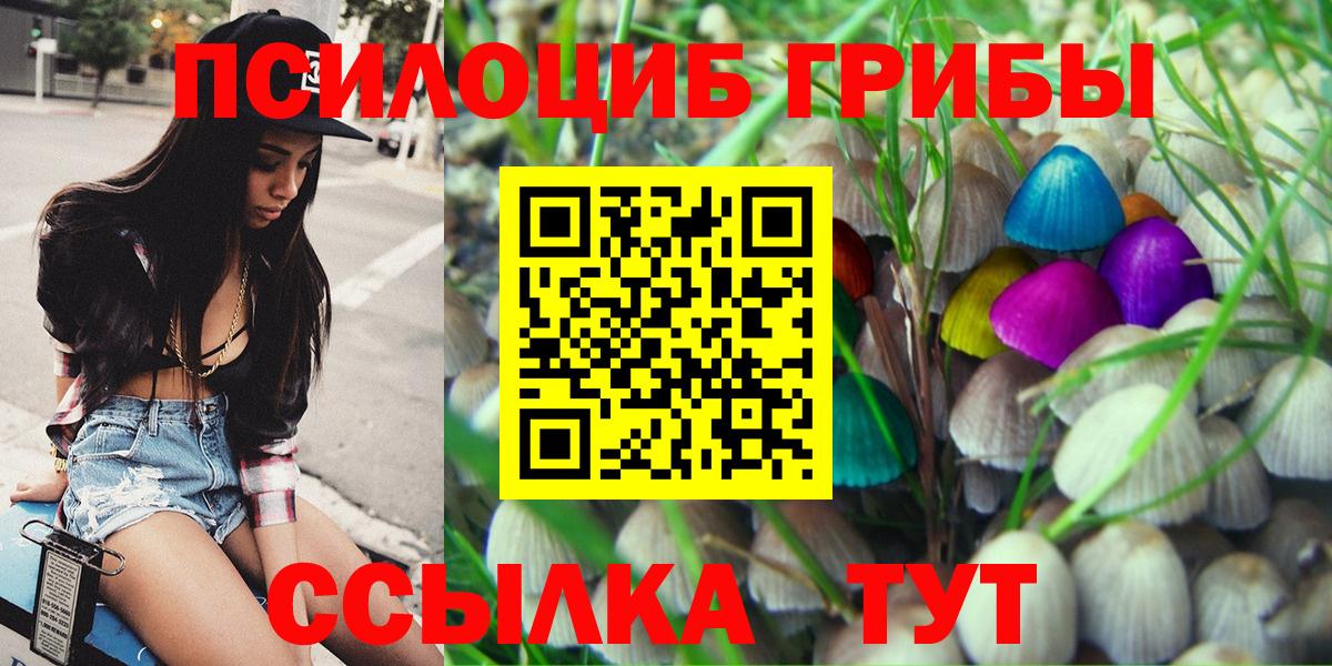 Галлюциногенные грибы Psilocybine cubensis Петропавловск-Камчатский