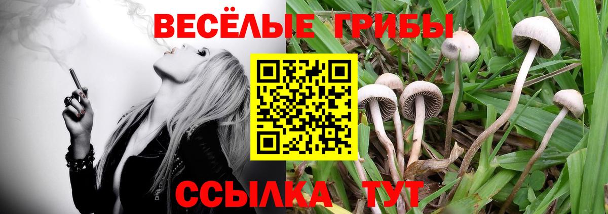 Петропавловск-Камчатский  Псилоцибиновые грибы ЛСД  Вход с VPN  Псилоцибиновые грибы Cubensis 