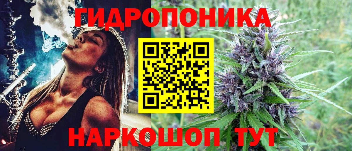 Канабис гибрид Петропавловск-Камчатский